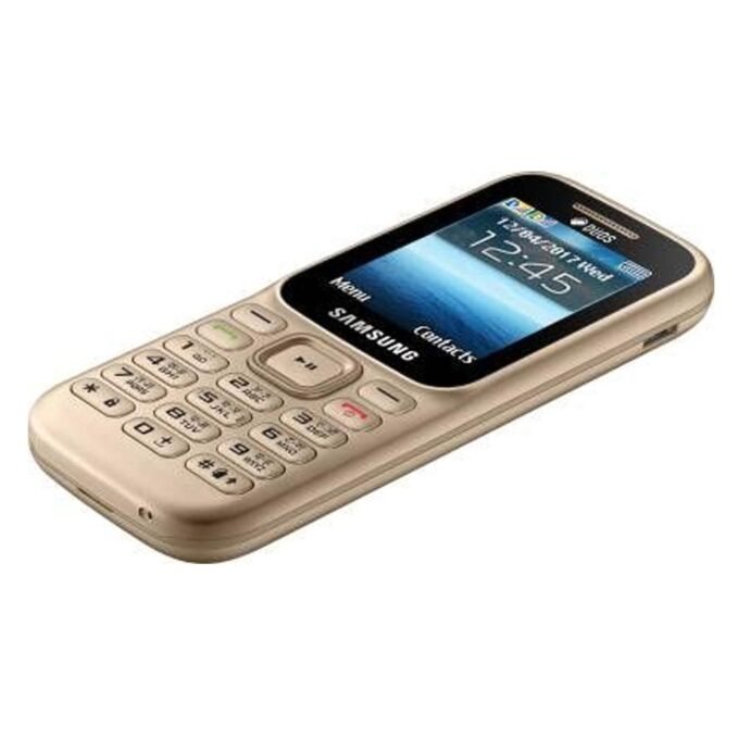 Samsung Guru Music 2 SM-B310E Keypad Phone - Gold